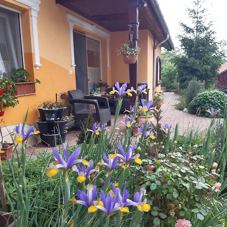 Andrea Apartman *