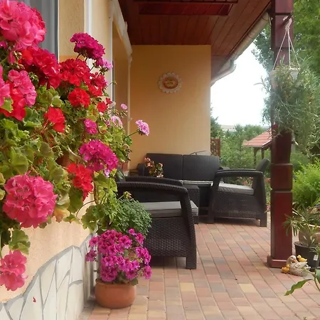 Apartment Andrea Vendeghaz *
