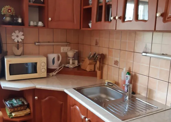 Andrea Vendeghaz Apartament